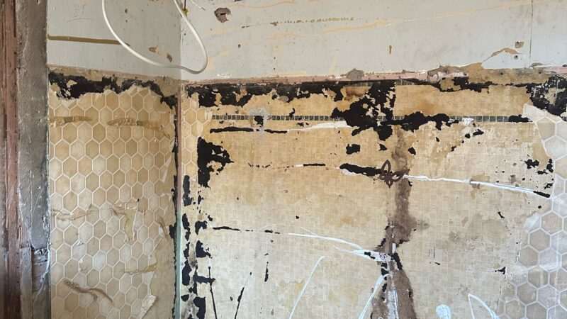 Small bathroom remodel Rustic bathroom remodel Southern Idaho